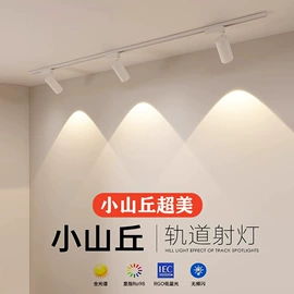射灯;筒灯;LED轨道灯
