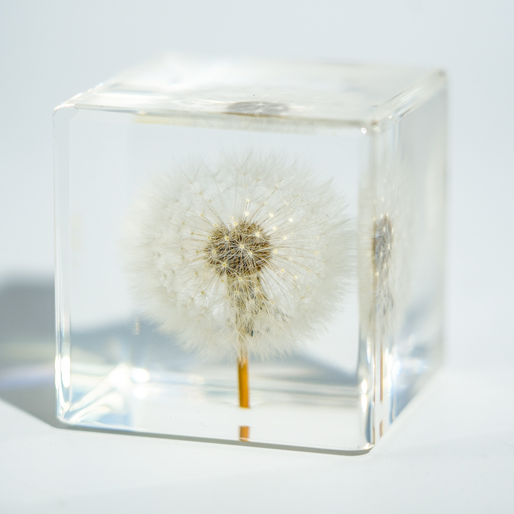 【Airplane Box】Cube Dandelion