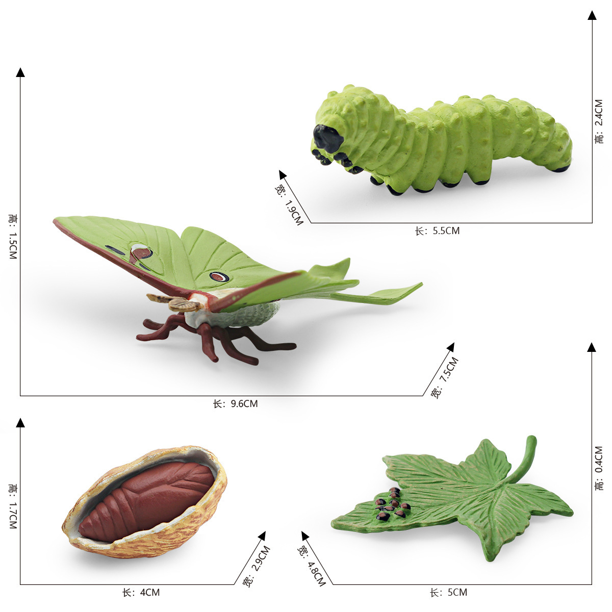 Simulación transfronteriza insecto animal Luna polilla modelo de ciclo de crecimiento cola larga gusano de seda polilla agua clara polilla proceso de crecimiento adornos
