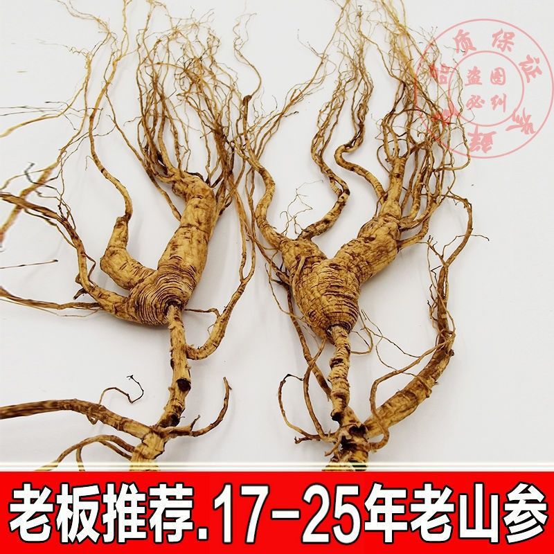 17-25年人参野山参长白山参农家林下野生人参断残老山参泡酒煲汤