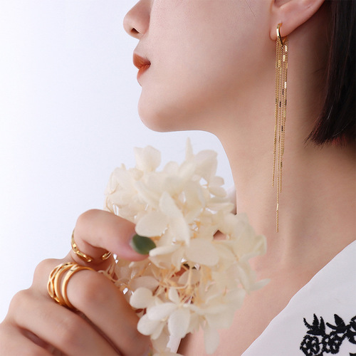 Korean-style light luxury Instagram-style long tassel earrings, VIP copycat versatile titanium steel earrings for dropshipping F547