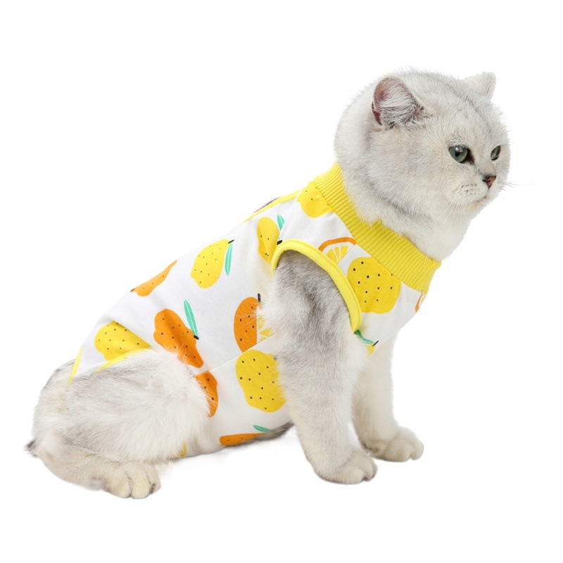 Gato esterilización ropa gato ropa posparto primavera y verano nuevo gato ropa quirúrgica anti-lamiendo destete ropa fábrica al por mayor