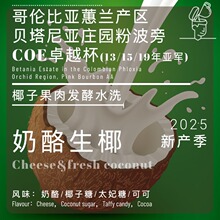 涹25炐۲COE13/15/19܊ׯ@ؐ၆Ҭ̫