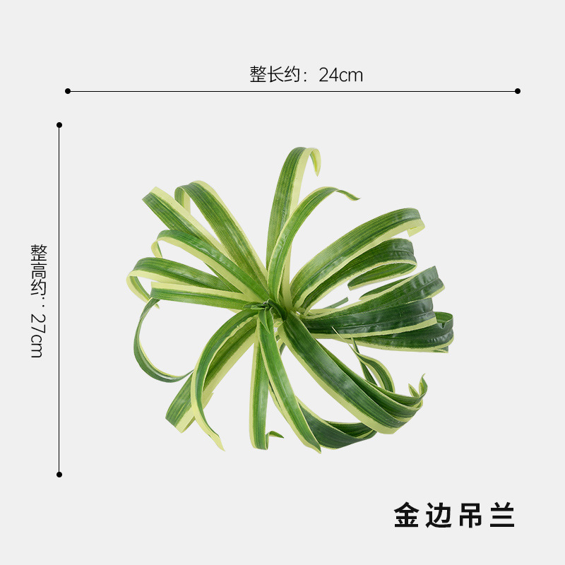 프놈펜 크리퍼