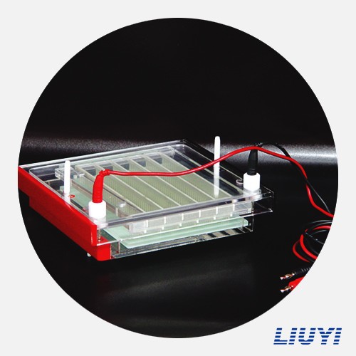 北京六一快速凝胶电泳仪DYCP-44P PCR等多样品 DNA 快速鉴定分离