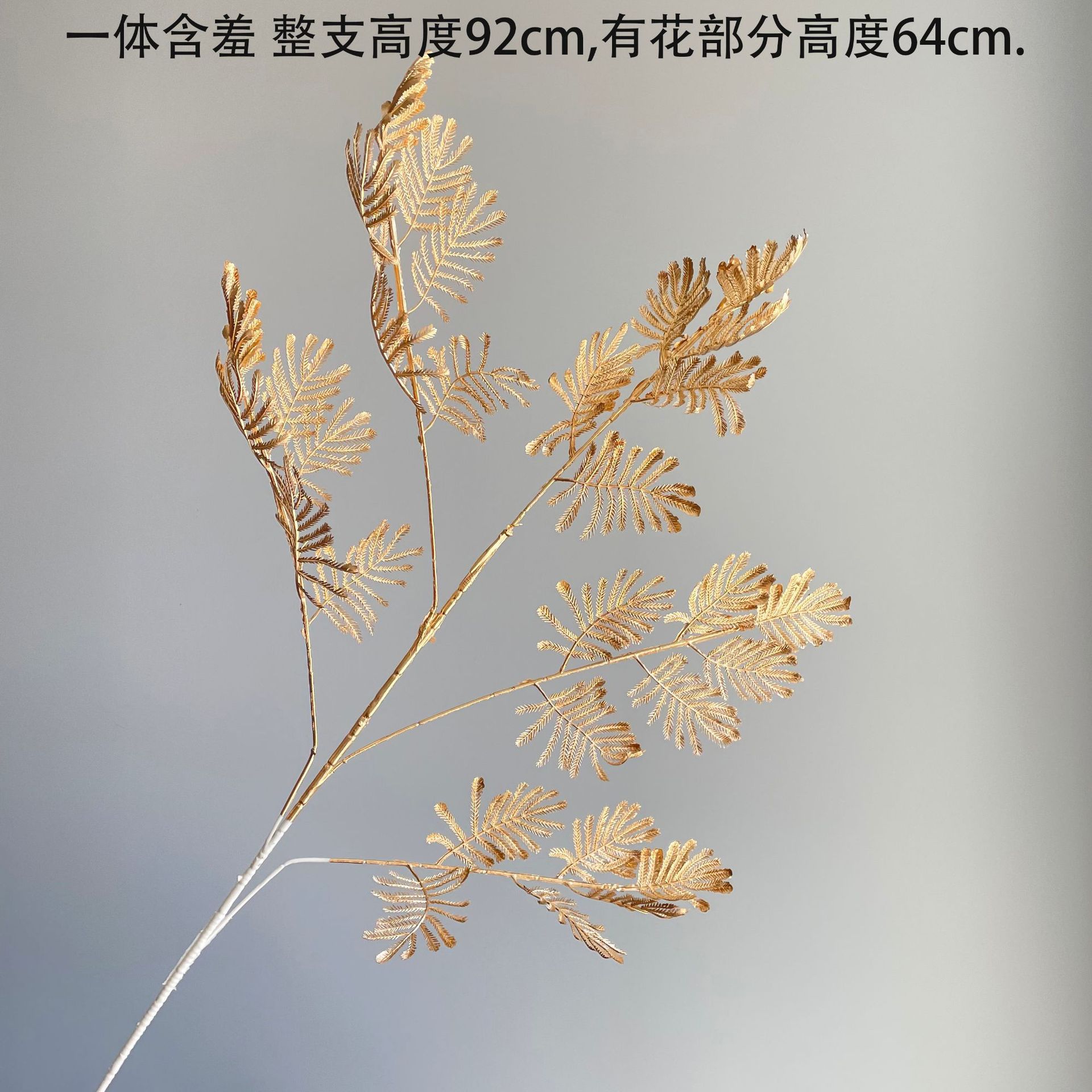 미모사