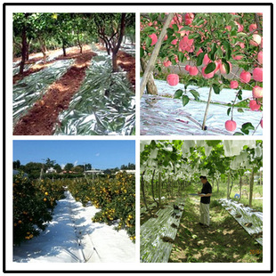 Fruit Tree Orchard Reflective Film Silver Agricultural Reflective Film Black Mulch Film Silver Black Two-Color Mulch Film