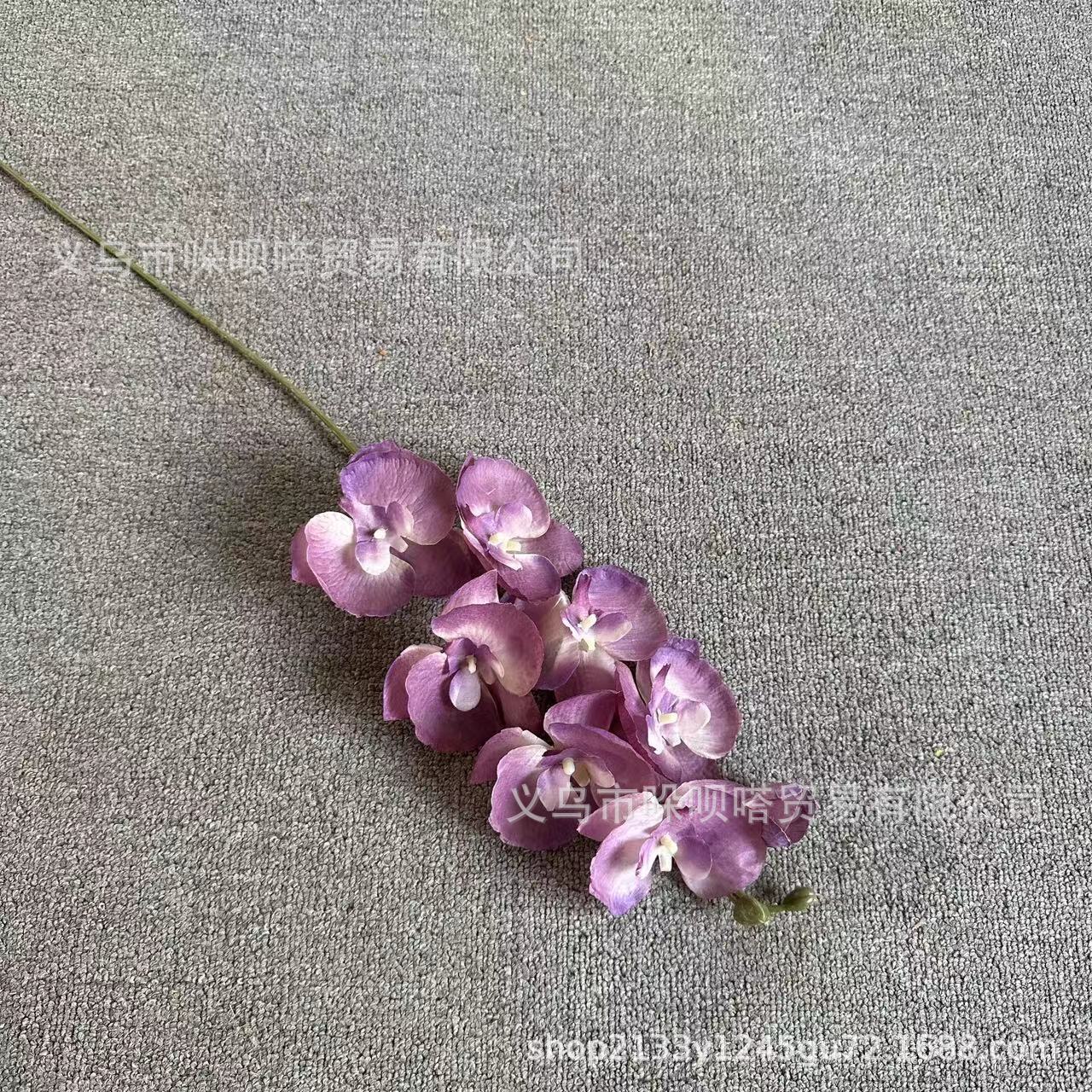 8 실크 호접란-레트로 퍼플