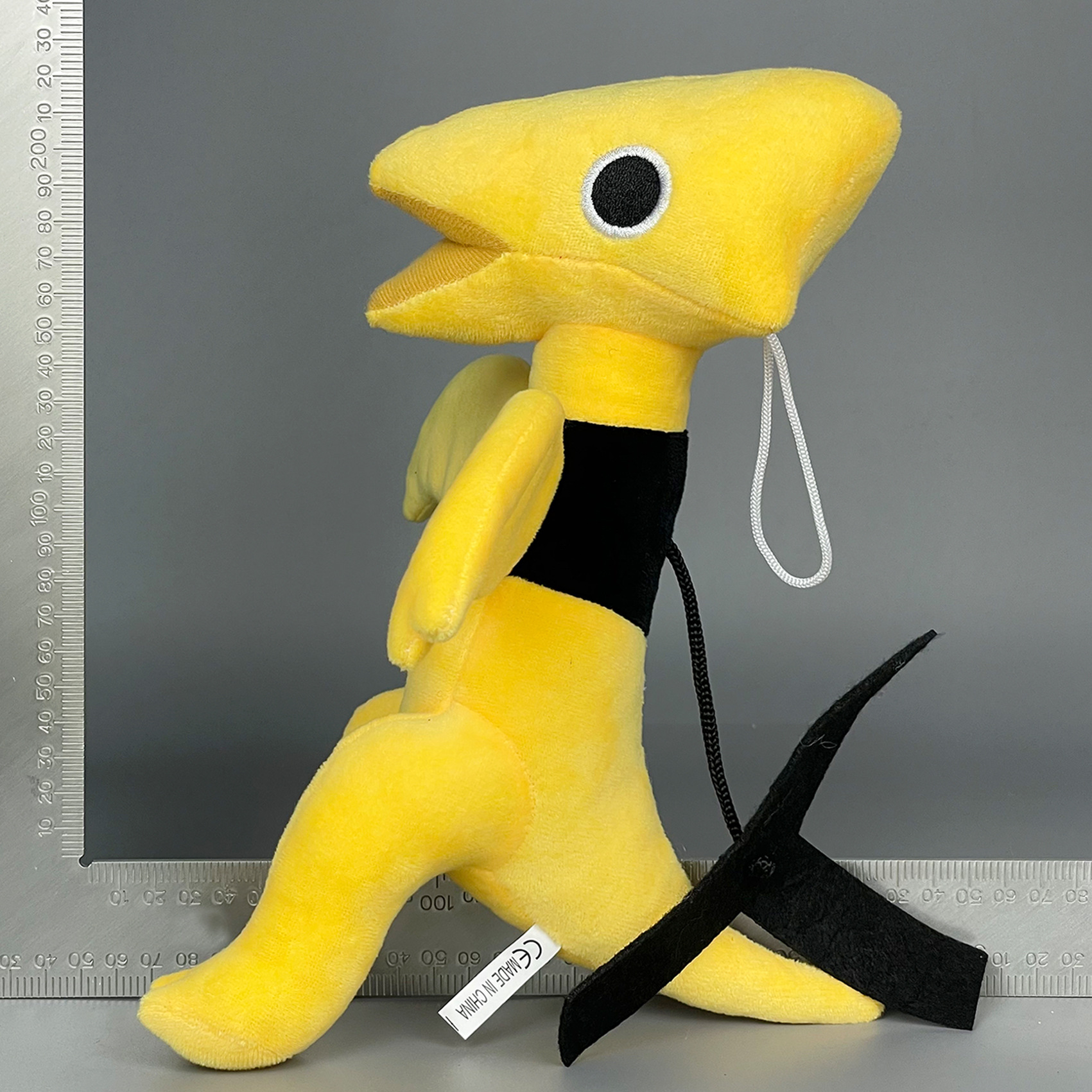 实拍 黄龙 (4).jpg