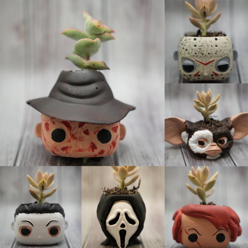 Funny Horror Halloween Succulents Potted Plants万圣多肉盆栽