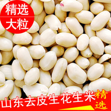 2024����؛ÓƤ������ȥƤ�����ʟoƤ�׻����׻�����ţ܈���Û���