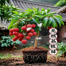 �ش�̖��֦����޽ӹ�����o�˹�ζ�ϱ����ļ��NֲͥԺ����ˮ����