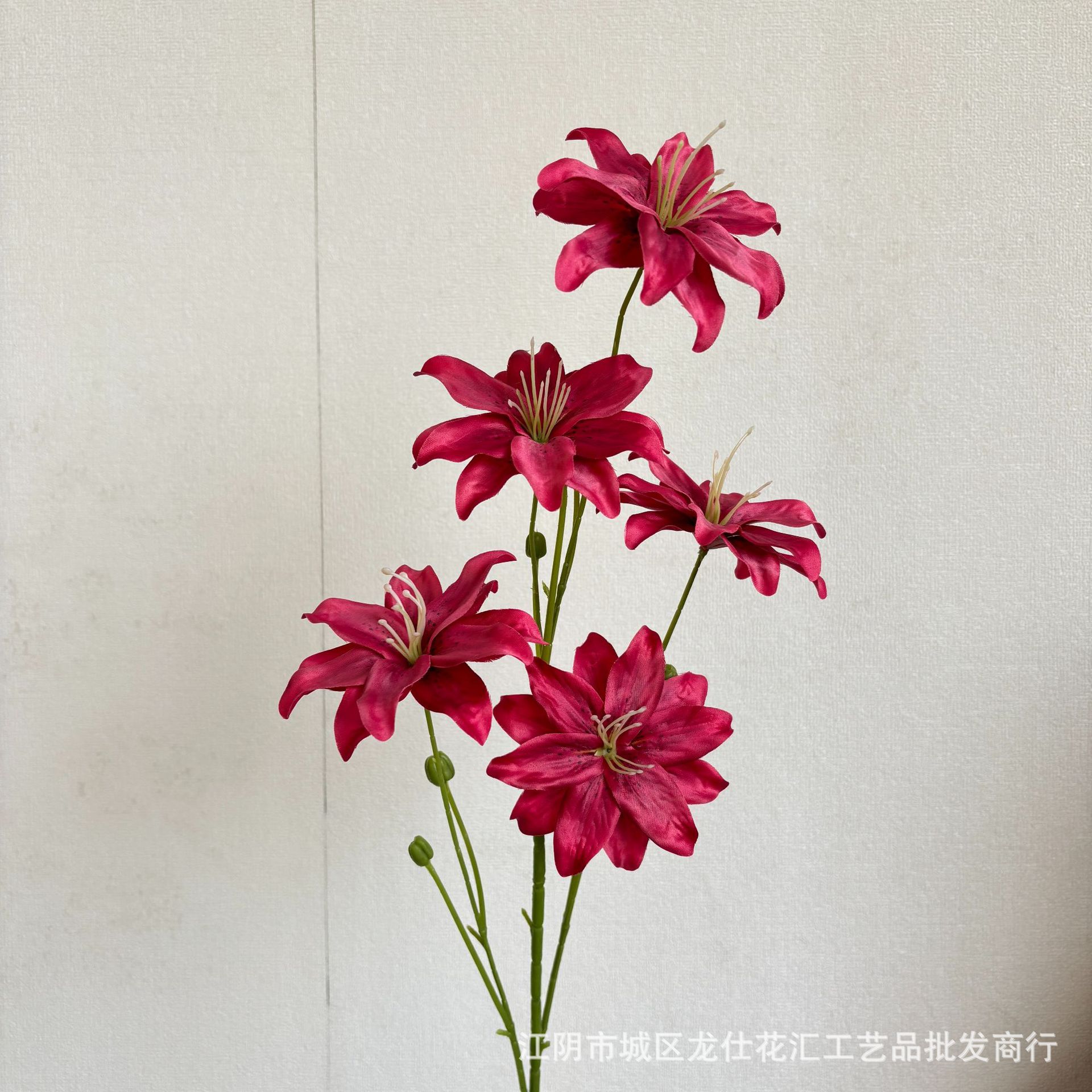 라일락 백합 5개