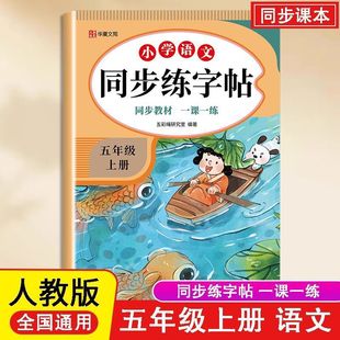 Large Format Primary School Students' Synchronized Copybook Chinese and English Fifth Grade Upper and Lower Volumes People's Education Synchronized Classroom Daily Practice