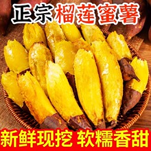 ������ɏ�������r�t���S������ɳ�ع����ķ���ܛŴ����  �a�ذ�