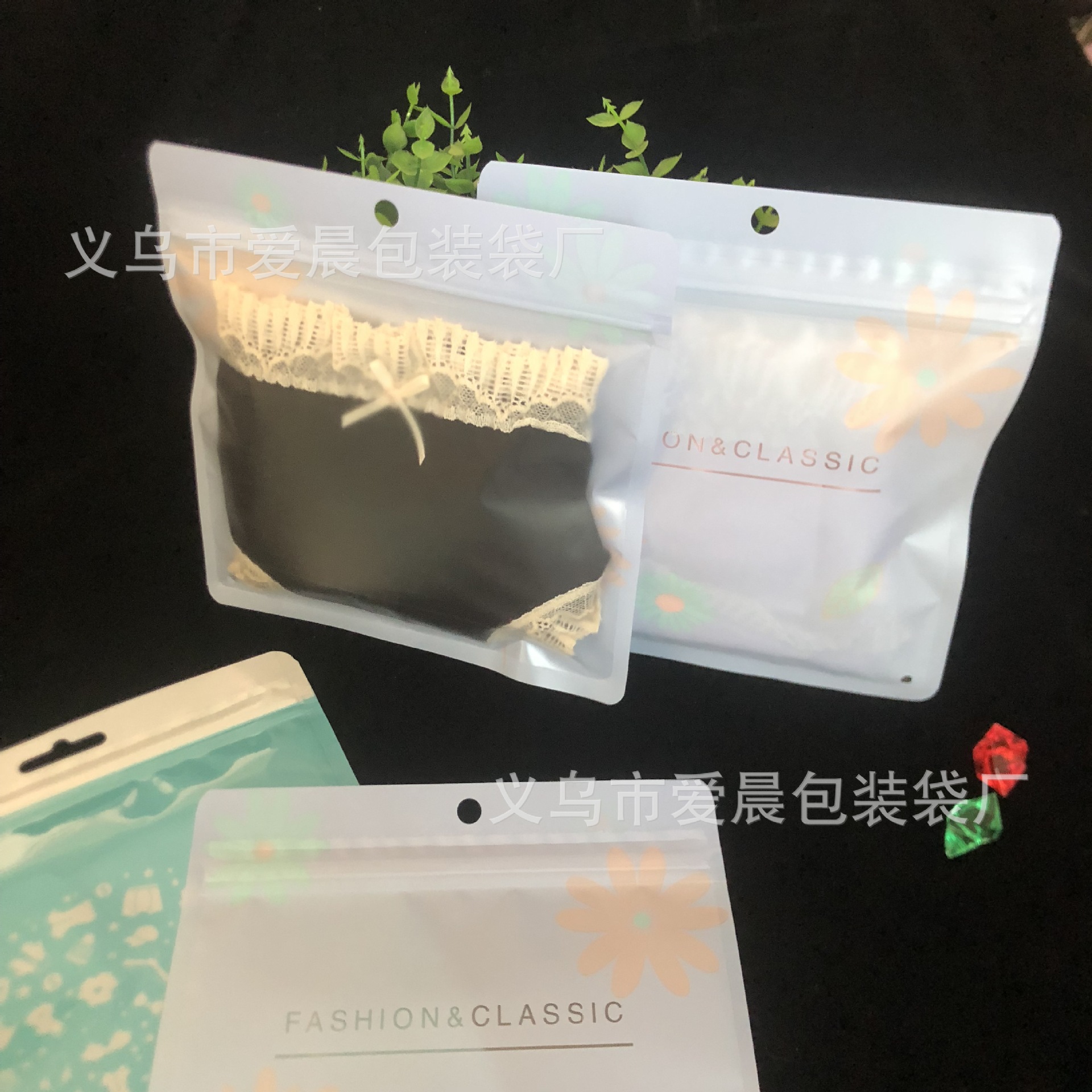 2021图片集IMG_2241