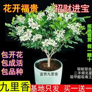 ������x�����������ԝ����ļ��҃Ȼ���ֲ�����������ǧ�����辰