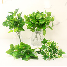 �F؛�����~�ӾG�}�~�f��������ֲ��Gֲ���쾰�b����Բ廨�G�~