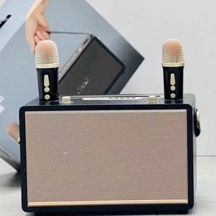 Karaoke All-In-One Dual Microphone Mini Speaker High Volume M35 Home Karaoke Bluetooth High Power Speaker