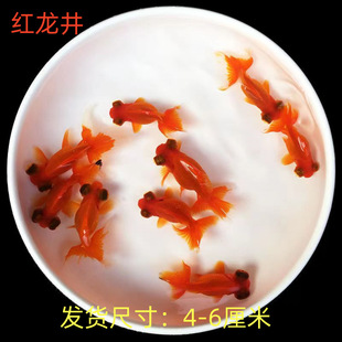 ���~���~��ˮ�~�^�p�~���B�ͻ���~�~�������tñ�����~�X�Ͻ�