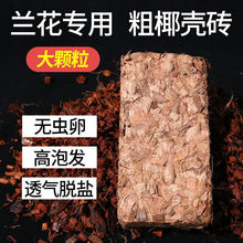 ��Ҭ���u�m�����àI�B�������mֲ�϶��������ܾ����mҬ��Ó�}Ҭ�u