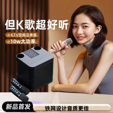 YS203K歌蓝牙音响跨境无线双麦克风KTV一体机家庭户外低音炮音箱