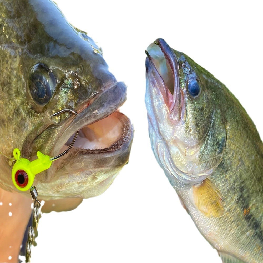 Amo con testa in piombo da 3,5 g Luya Bait con paillettes, amo con testa in piombo simulato Big Eye con paillettes rotanti, fondo anti-appeso_voghion.com