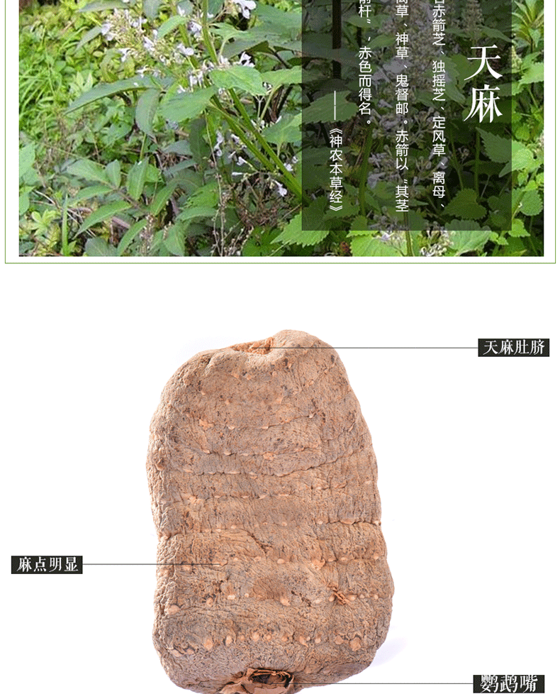 Yunnan Zhaotong Black Gastrodia Dried Slices 500g Premium Tian Ma Herbal Root details