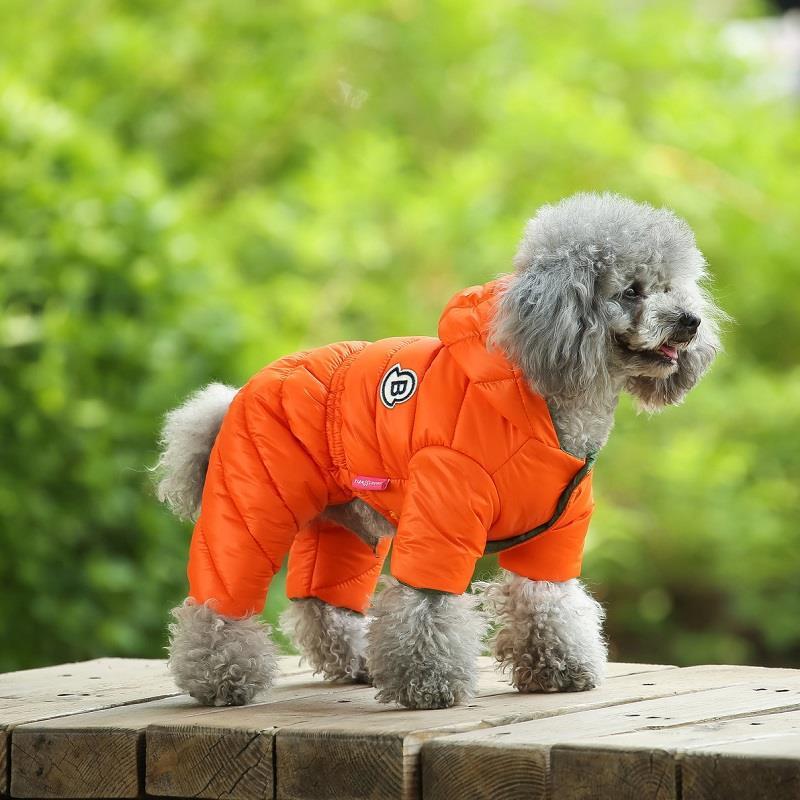 Dog clothes, winter clothes, Teddy autumn and winter cotton clothes, Bichon Frize Pomeranian small dog spring and autumn down cotton clothes