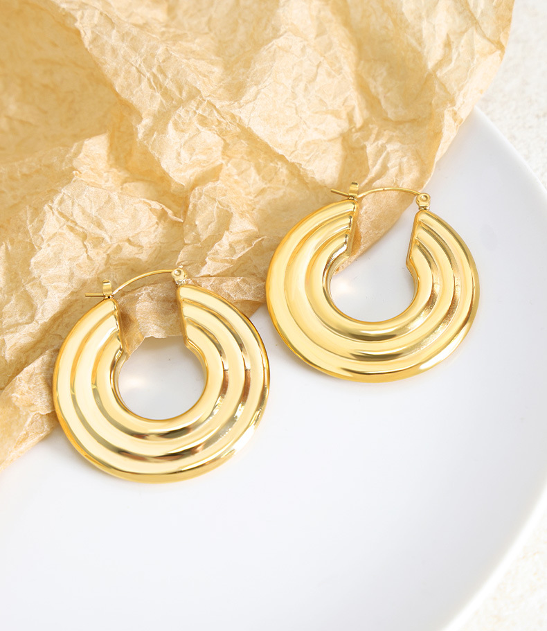 1 Paire Style Moderne Rond Placage Acier Au Titane Boucles D'oreilles Cerceau display picture 3