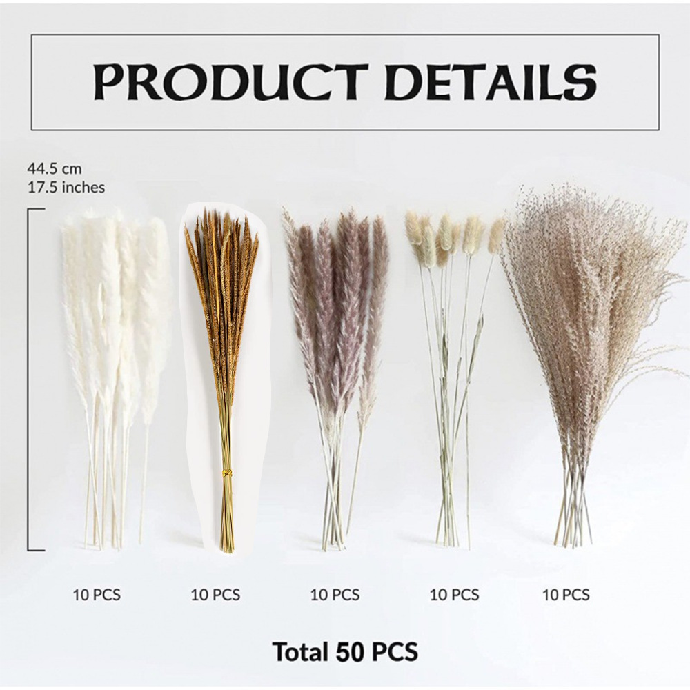 Ramo de caña de flores secas de Amazon, batidor de hierba de cola de conejo, ramo de flores secas de Yunnan, decoración de muebles al por mayor