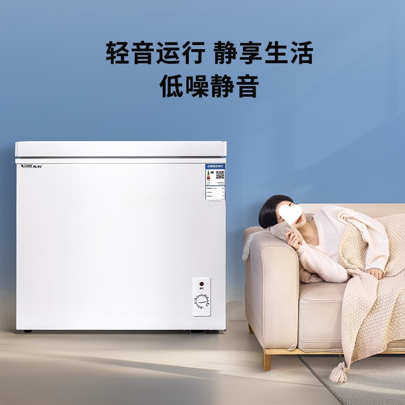 速冻保鲜冷柜能耗商用小型家用冰柜一人迷你卧式冰箱静音|undefined