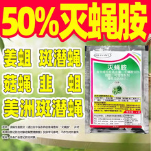 50%��Ӭ�����ް�ǱӬר��ɱ����ƹϰ�ǱӬɱ��ר��ҩ��Ӭ藺�