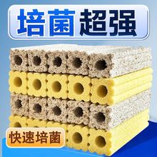 ~׼ݞVĞVמVD^Vˮ~ϵy