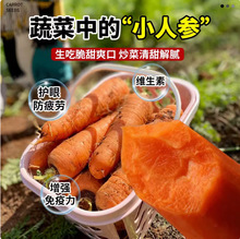 �S�����lС피t���}���N�ӼtƤ�t���＾���ˮ�����}���Ѽt�}���N