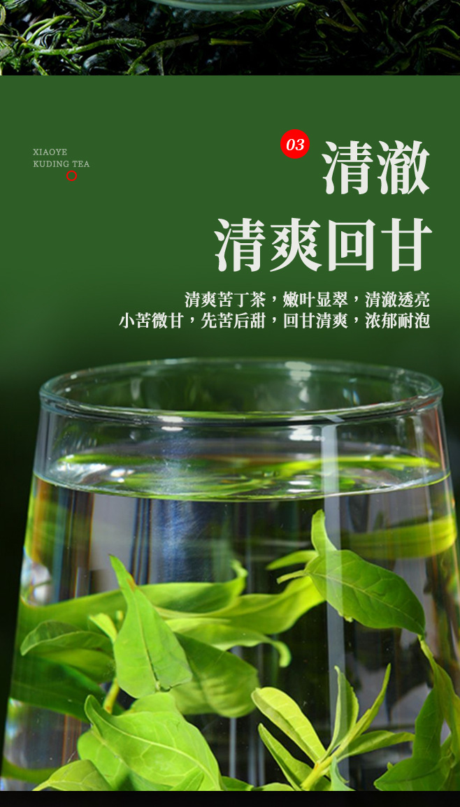 Small Leaf Kuding Tea Premium Tender Bud Bags 30g Canister Daily Wellness Brew in use