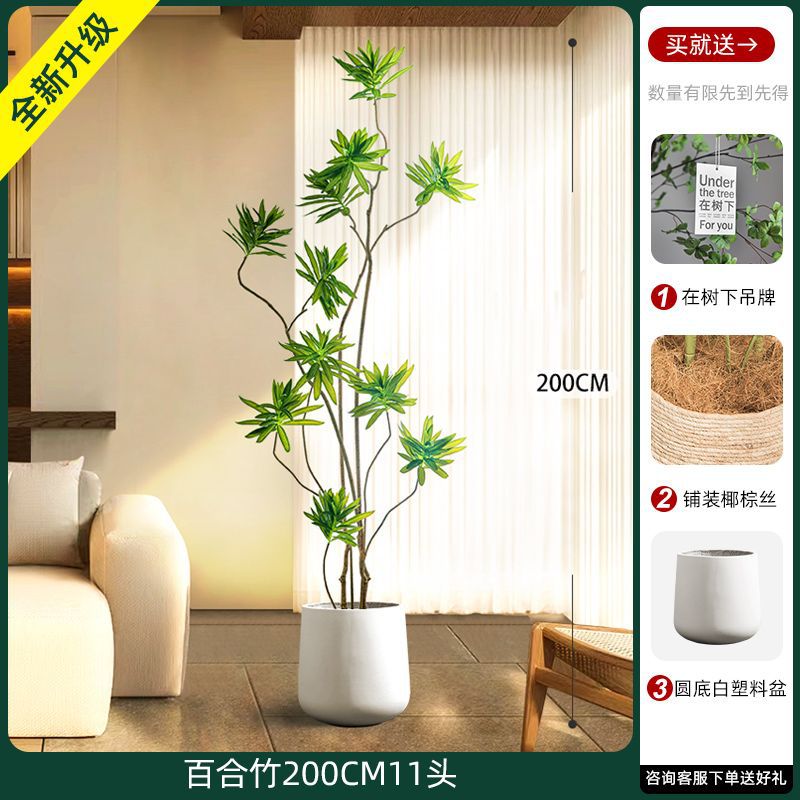 [W Ruyi Bamboo] 200CM11 Chậu bán nguyệt