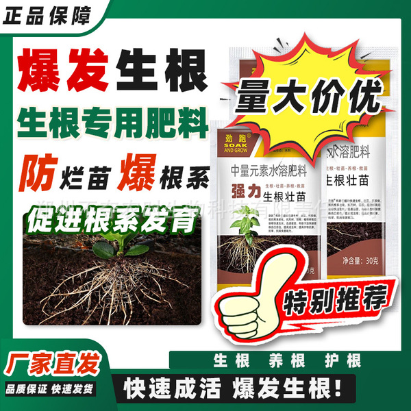 Rooting powder