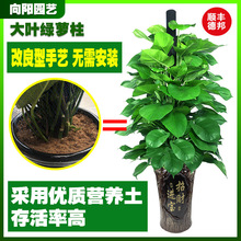 ~G}ԘGֲ҃ȿ͏dȩwֲk҃՚Gj