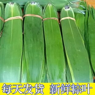 ���r���~�V�������~��̖�Fժ���x�̼��ö��繝�ش�â�~���������l
