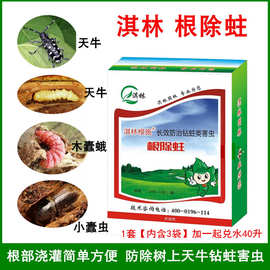 淇林根除蛀根部浇灌防除天牛钻心虫蛤虫蛀木吉丁小蠹虫绿化杀虫剂