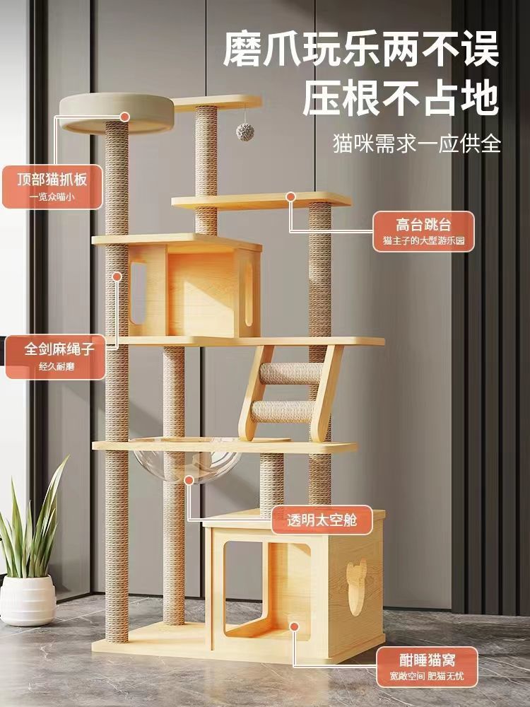 cc295500-ed46-47db-828a-2e41bcda7621.jpe