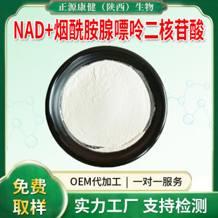 NAD+�����������ʶ������� &beta;-NADH���c�} ʳƷ��ԭ�� ߀ԭ���oø