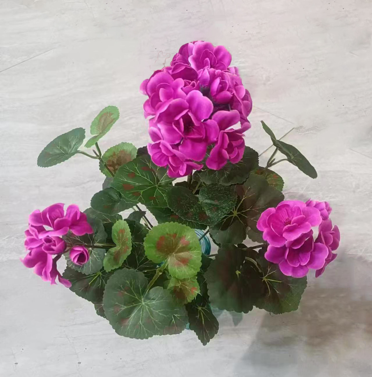 보라색 [14 인치]]