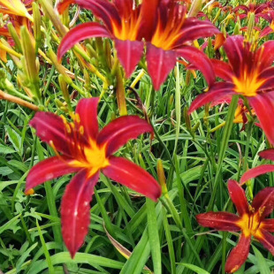 �������l ����� �t����ݶ�����������ܾG�����̻����^�p����