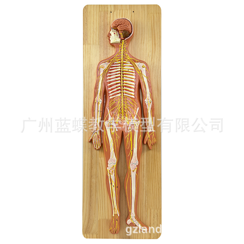 ������ϵͳ����ģ�� ����������ϵͳģ�� �� ���� ��Χ����