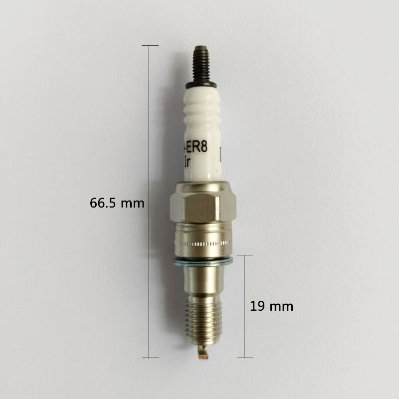 Nickel Alloy Spark Plug Lmar8Ai-9 Is Suitable for Zongshen Dayang Harley Spring Breeze Motorcycles