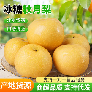 ���lɽ�|������Y���b5�����䑪�����rˮ�����������������