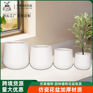 �S�����l�´ɈA�������ϻ���ֲ��Gֲ�����b�������Ͱ���軨��