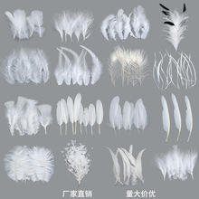 厂家批发白色羽毛热销鹅毛火鸡毛手工羽毛装饰材料服装辅料饰品